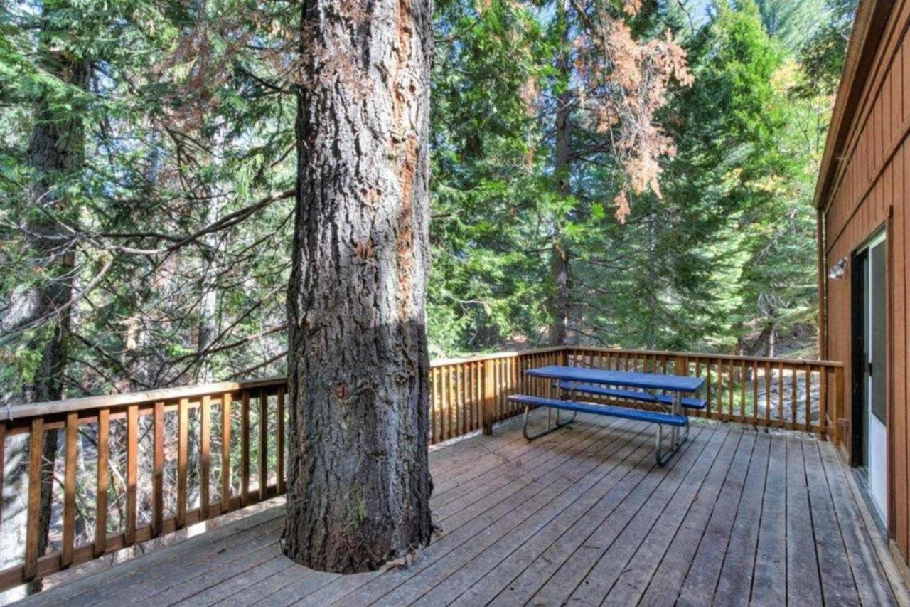 Forest Glen Yosemite West Dış mekan fotoğraf