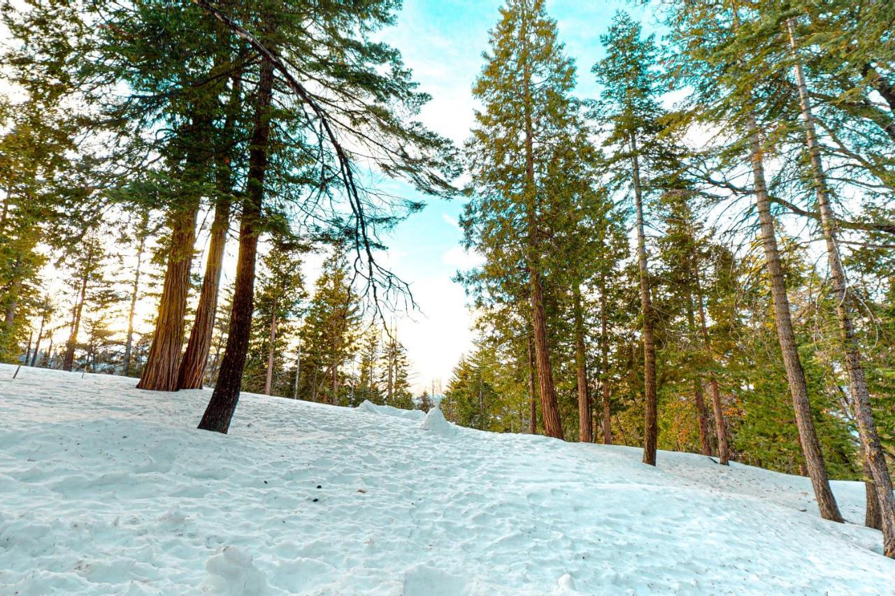 Forest Glen Yosemite West Dış mekan fotoğraf